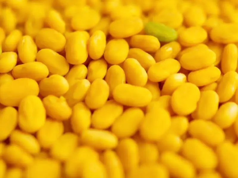 घर में ही मिलने वाली इन 3 चीजों को सरसों के तेल में मिलाकर लगाने से बाल होंगे एकदम काले Methi Seeds