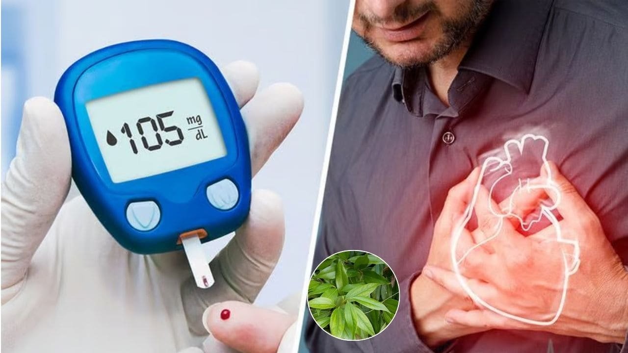 शुगर लेवल बढ़ने से परेशान हैं? घर की रसोई में पड़ी इस चीज़ को रोजाना डाइट में शामिल करने से शुगर लेवल की होगी छुट्टी 