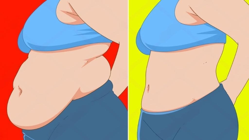 शरीर के मोटापे को कम करने के लिए एक्सपर्ट से जानें असरदार डाइट प्लान! जानिए कैसे पाएं स्लिम फिगर आसानी से