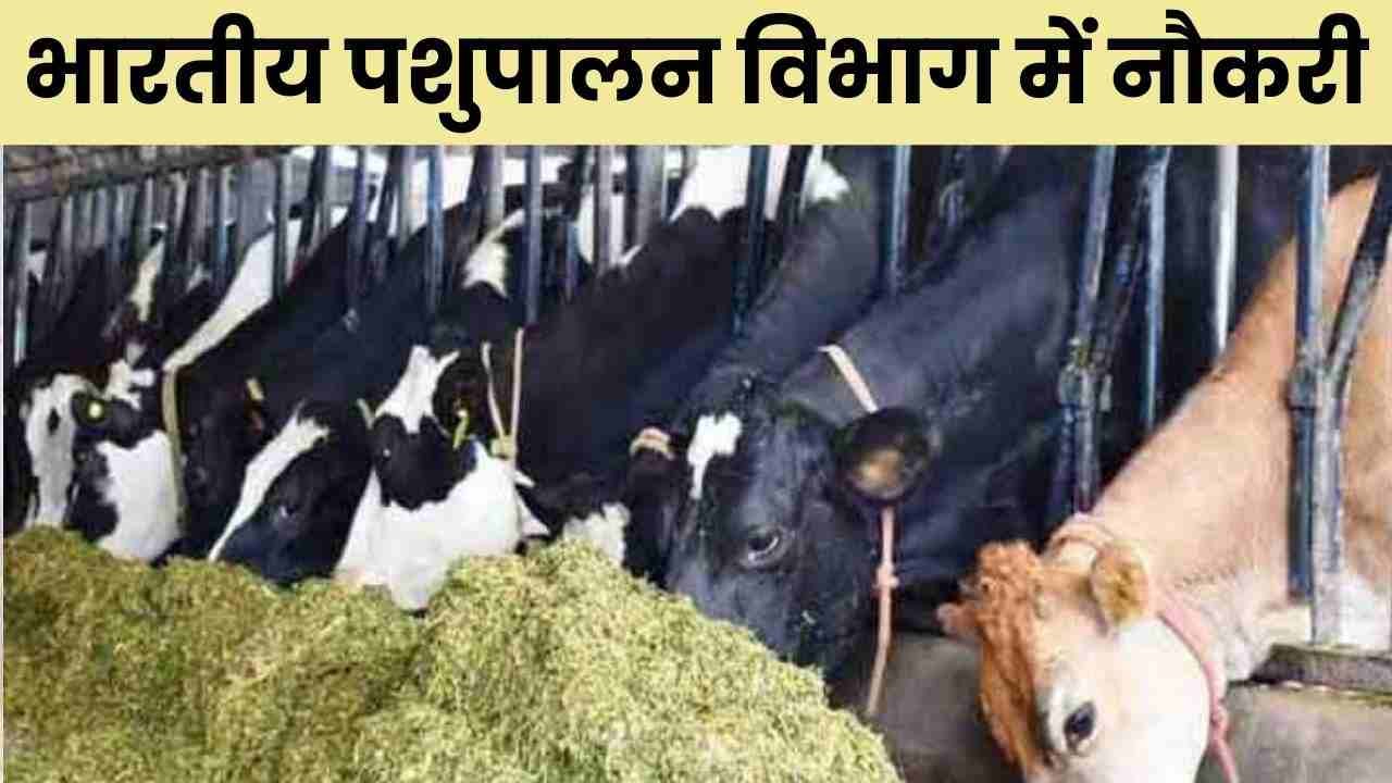 भारतीय पशुपालन निगम में निकली 10वीं 12वीं पास के लिए 2152 पदों के लिए भर्ती, यहां जाने योग्यता डिटेल 