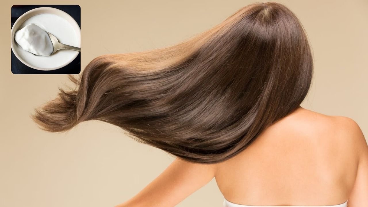 दही से बने ये 3 हेयर मास्क बालों को बनाएंगे सिल्की और शाइनी! उलझे बालों का सटीक समाधान