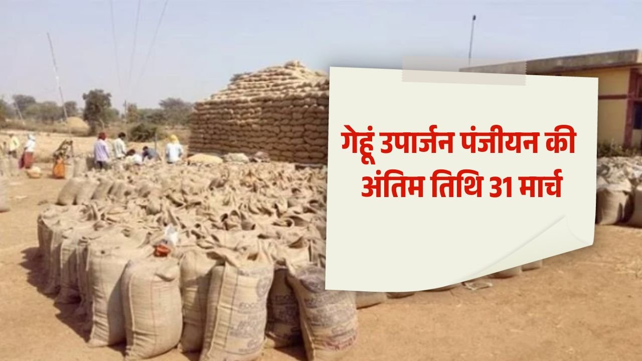 मध्य प्रदेश के किसानों के लिए बड़ी खबर, 15 मार्च से गेहूं खरीदी शुरू, 31 मार्च तक कराएं पंजीयन