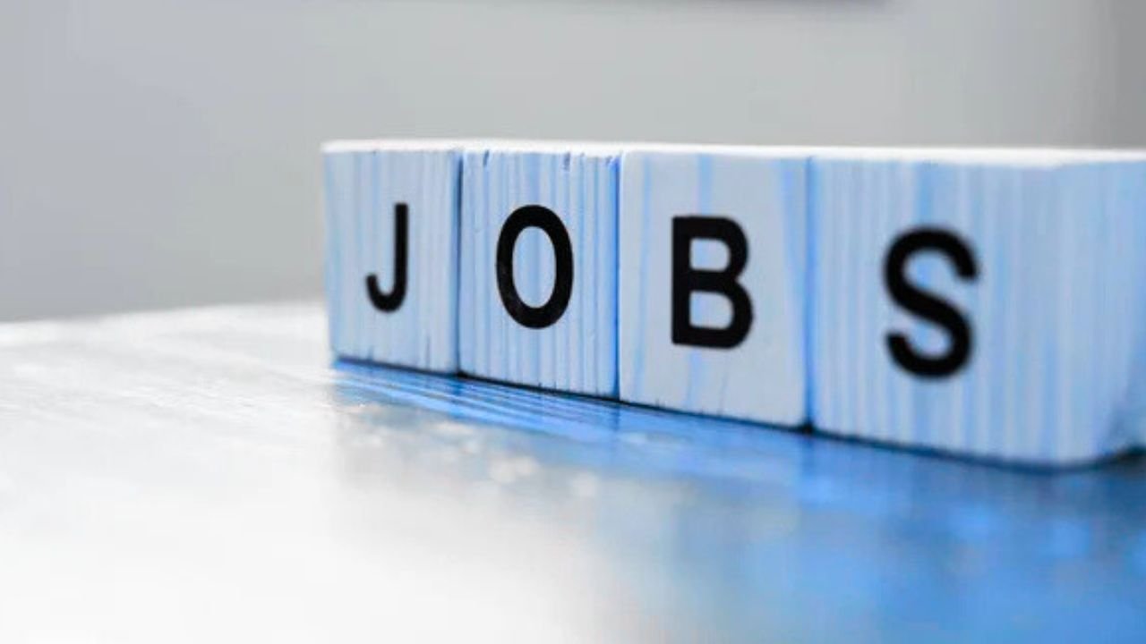 Govt Jobs: होमगार्ड से लेकर बैंक में नौकरी पानी का शानदार अवसर, यहां देखें 5 खास जॉब्स  लिस्ट 