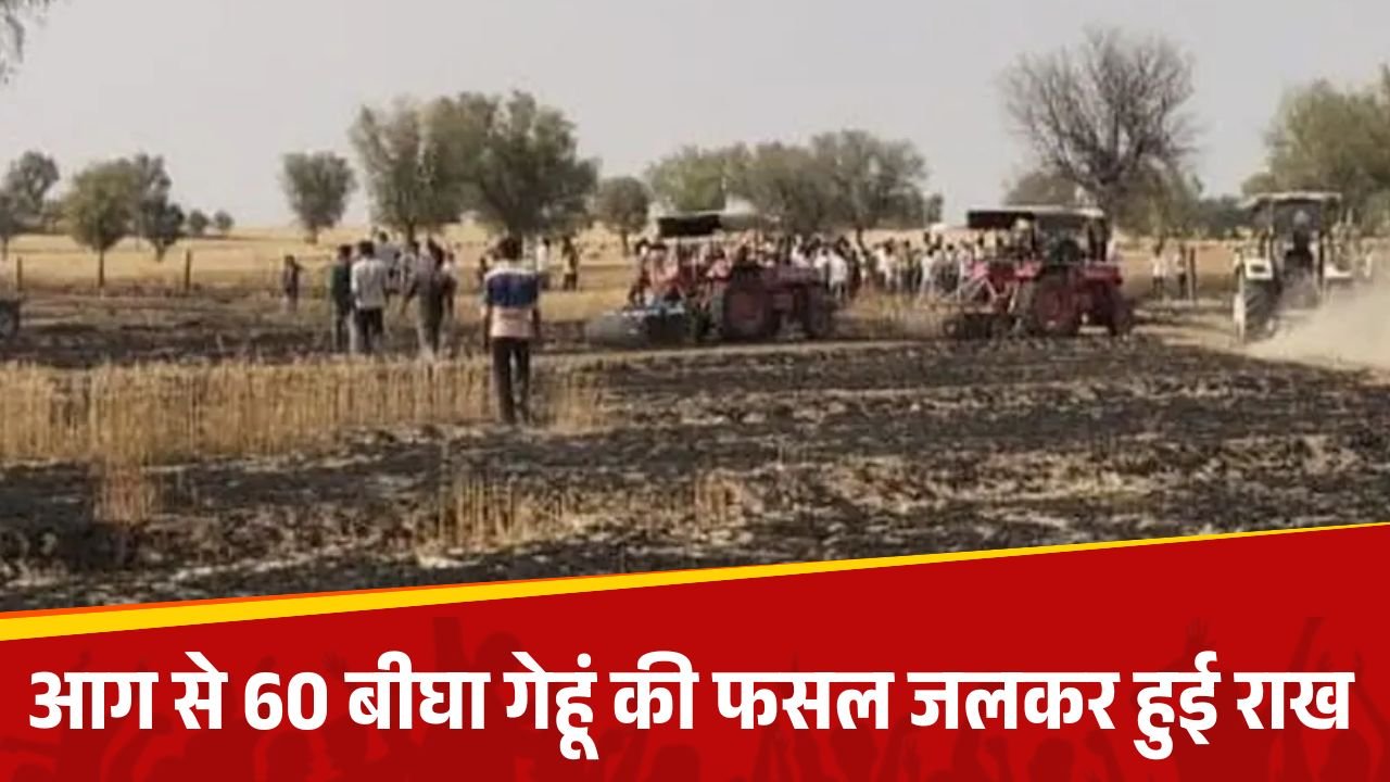 बिजली के तारों से लगी आग ने किसानों की मेहनत को किया बर्बाद, 60 बीघा गेहूं की फसल जलकर हुई राख